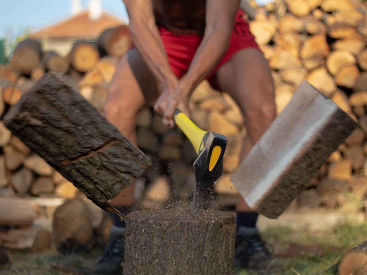 Best Tree Trimming Near Me  in Kemah, TX